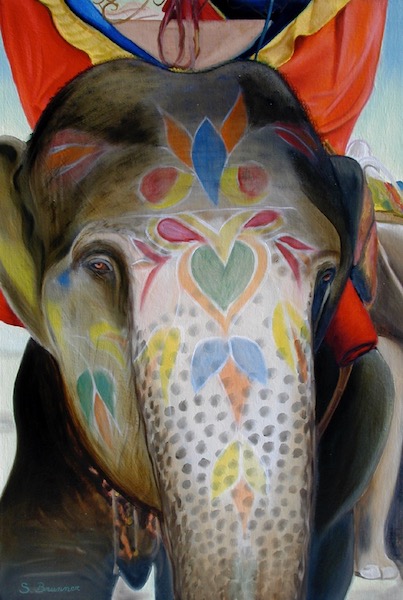 Eléphant du Sri Lanka